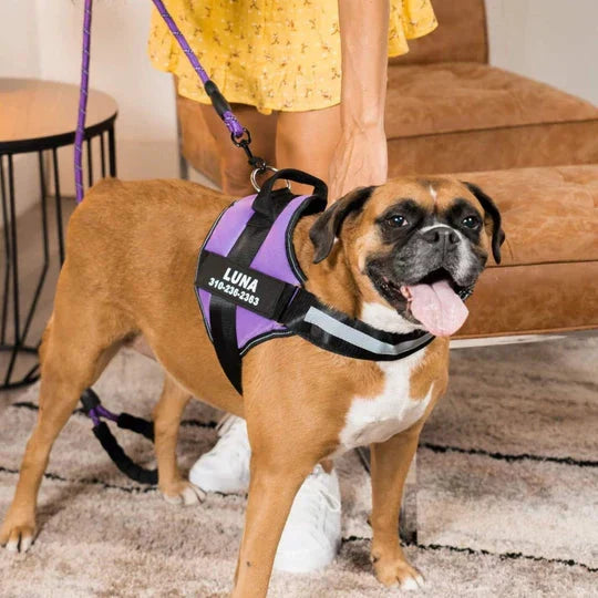 Dog Custom No Pull Harness | Reflective | XS to XXL | Adjustable Fit | Comfortable & Secure | Pawberry Road