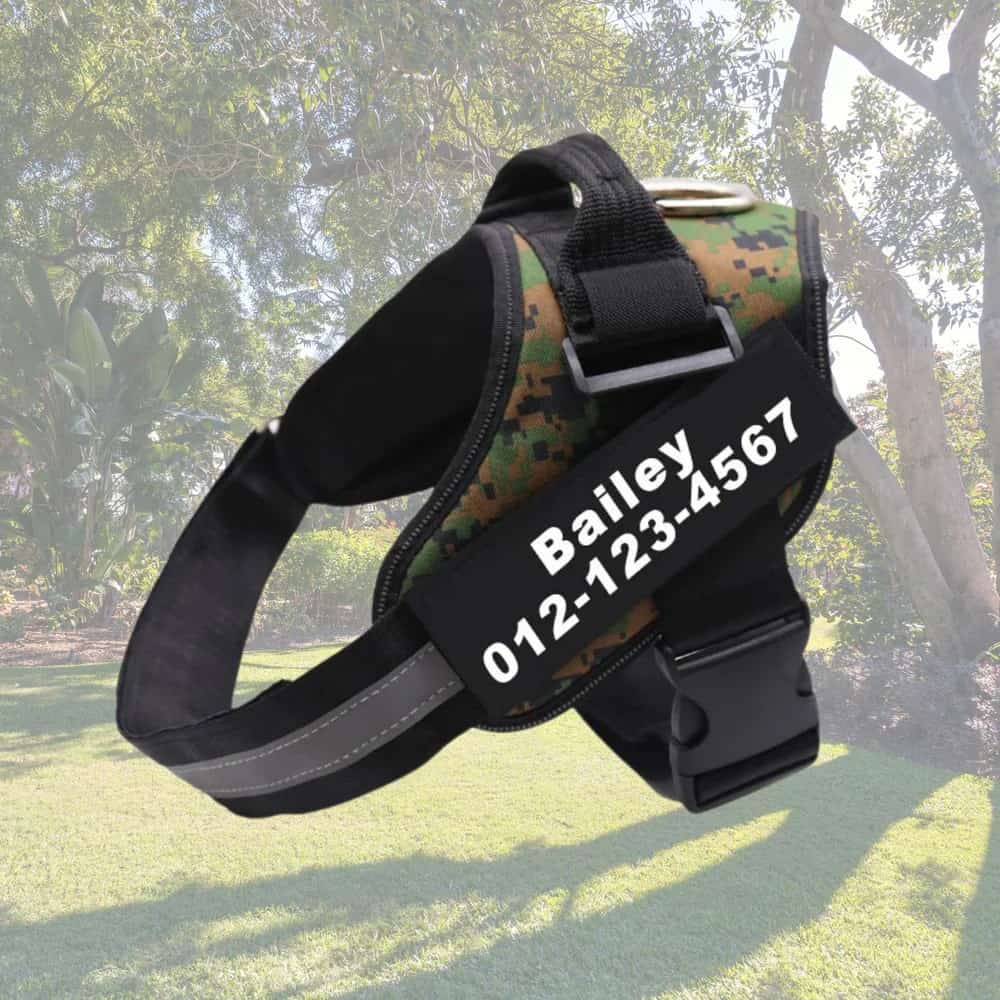 Dog Custom No Pull Harness | Reflective | XS to XXL | Adjustable Fit | Comfortable & Secure | Pawberry Road