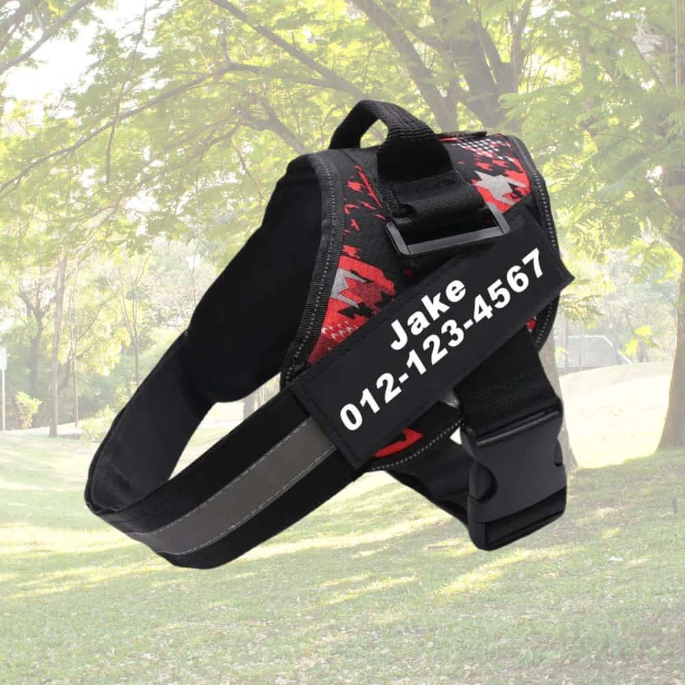 Dog Custom No Pull Harness | Reflective | XS to XXL | Adjustable Fit | Comfortable & Secure | Pawberry Road