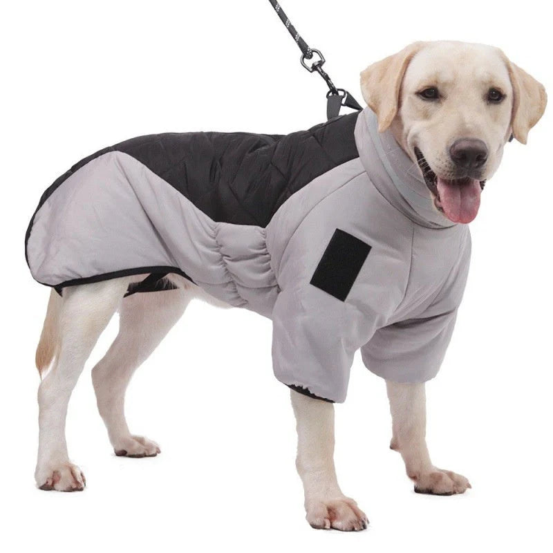 Dog Coat – Waterproof Fabric – Medium 20 × 15 Inches – All-Weather Protection for Outdoor Activities 1