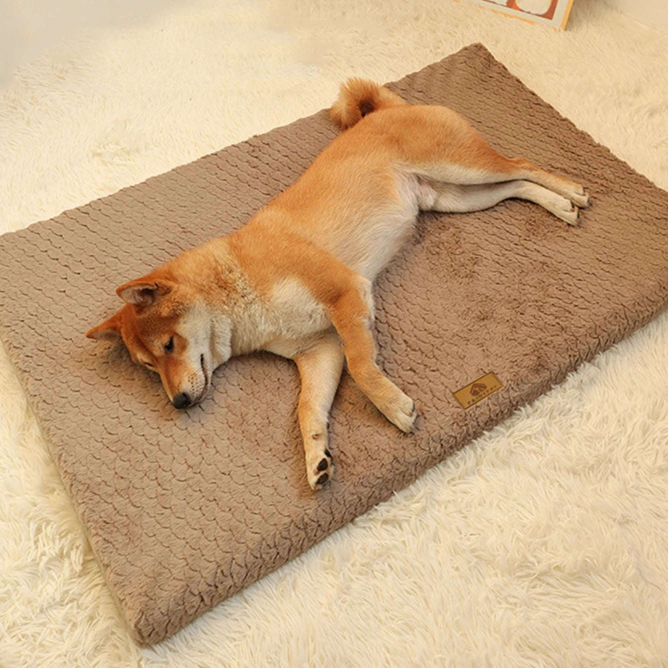 Dog Mat – Ultra-Soft Fabric – 30 × 40 Inches – Cushioned Comfort for Crate or Home Use 3