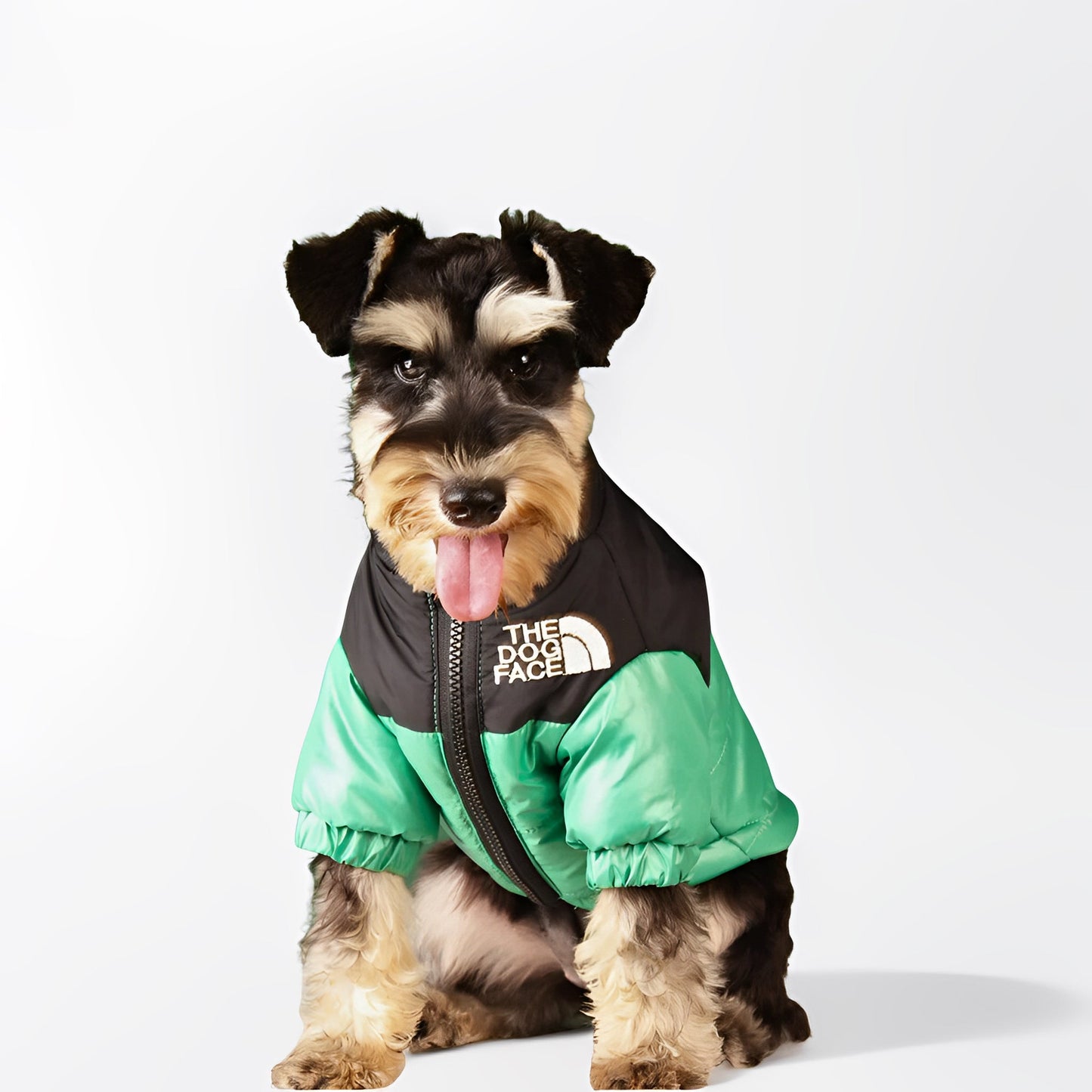 Dog Puffer Jacket | XS to 3XL | Winter Jacket | Waterproof, Insulated & Stylish Cold Weather Coat | Pawberry Road