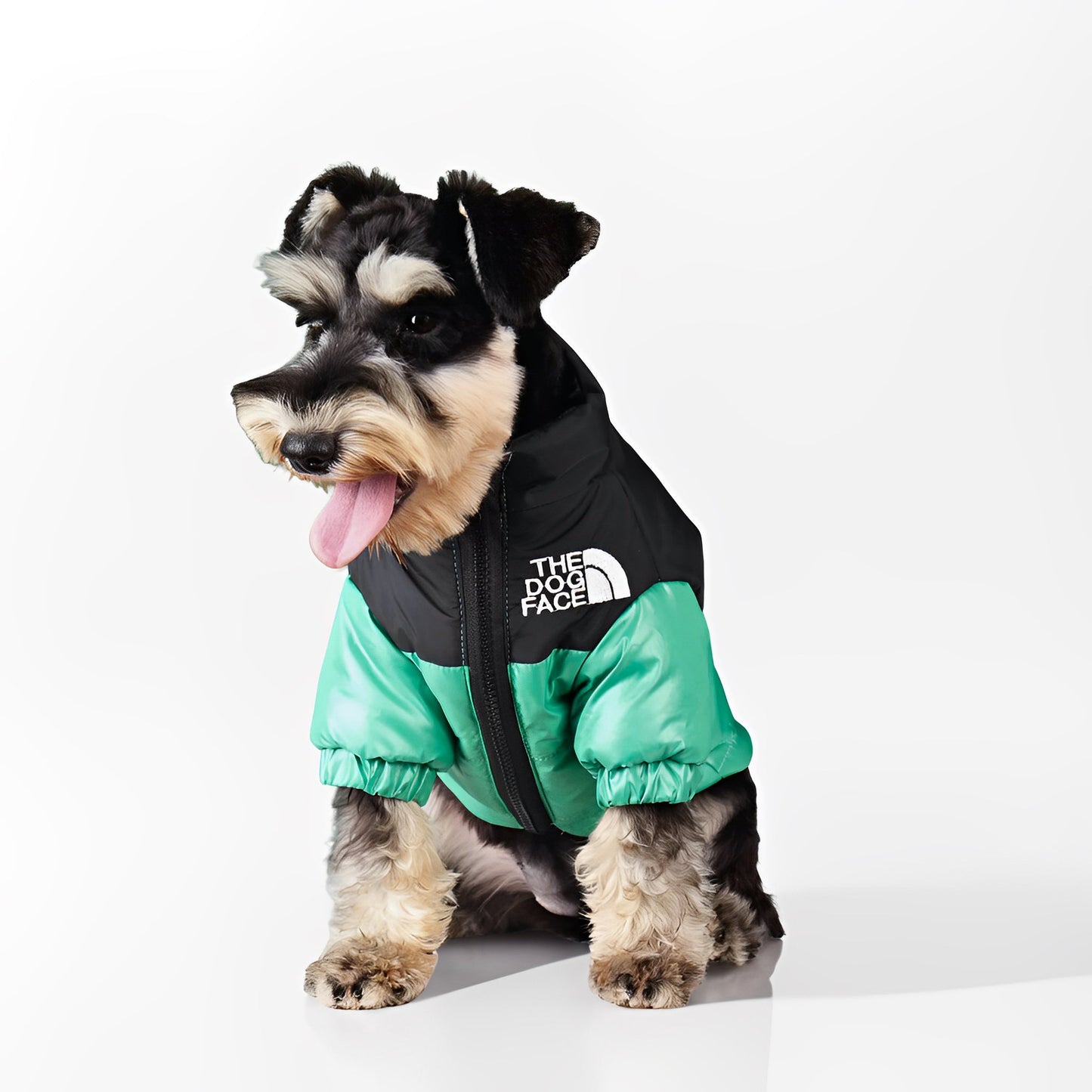 Dog Puffer Jacket | XS to 3XL | Winter Jacket | Waterproof, Insulated & Stylish Cold Weather Coat | Pawberry Road