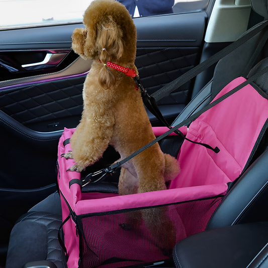 Foldable Dog Car Seat | Safe Booster | Small-Medium Dogs | Pawberry Road