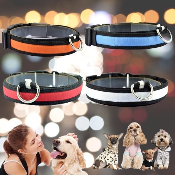 Pet LED Safety Collar | 10–20 in | USB Rechargeable | Adjustable Fit | Pawberry Road