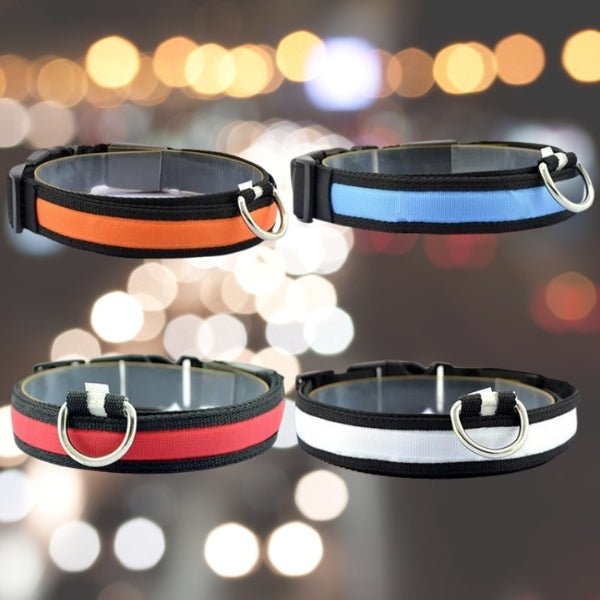 Pet LED Safety Collar | 10–20 in | USB Rechargeable | Adjustable Fit | Pawberry Road