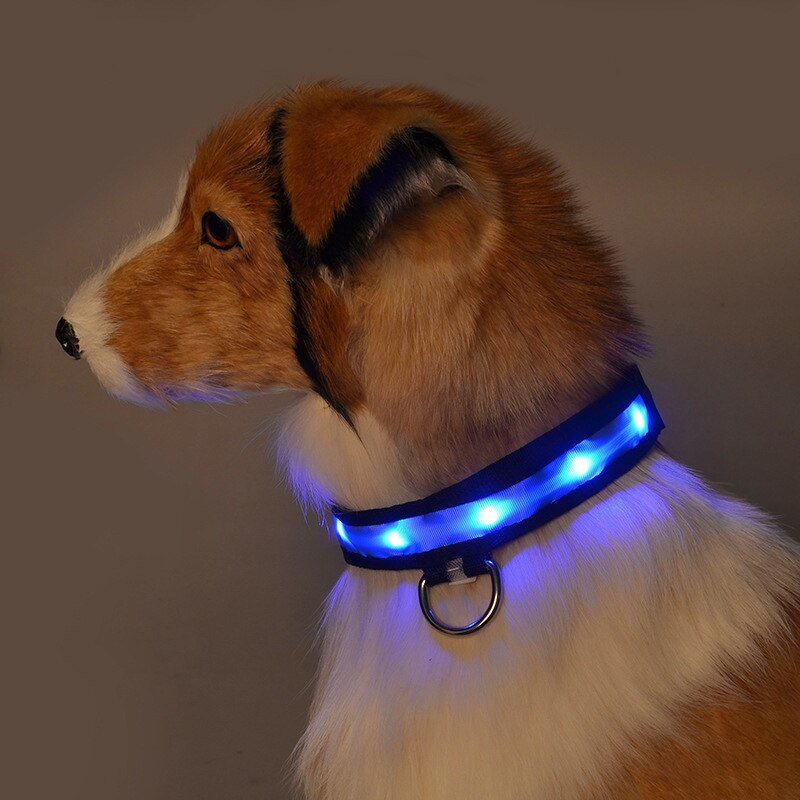Pet LED Safety Collar | 10–20 in | USB Rechargeable | Adjustable Fit | Pawberry Road