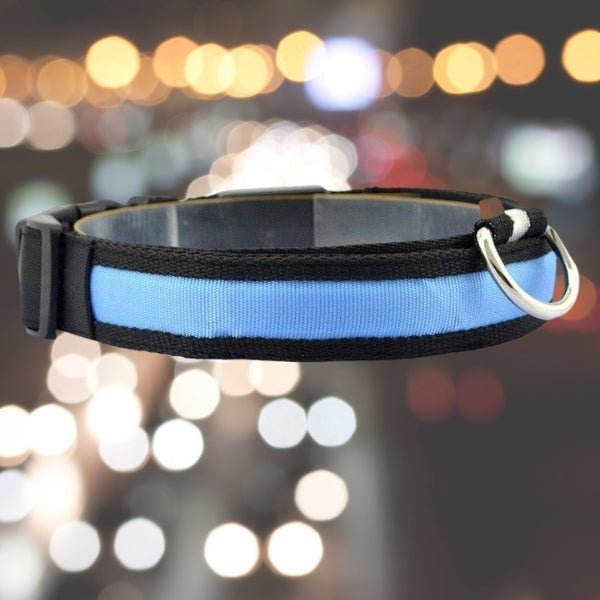 Pet LED Safety Collar | 10–20 in | USB Rechargeable | Adjustable Fit | Pawberry Road