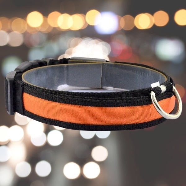 Pet LED Safety Collar | 10–20 in | USB Rechargeable | Adjustable Fit | Pawberry Road