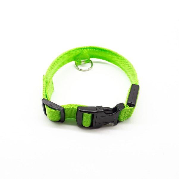 Pet LED Safety Collar | 10–20 in | USB Rechargeable | Adjustable Fit | Pawberry Road