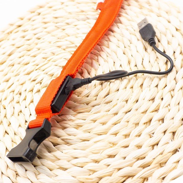 Pet LED Safety Collar | 10–20 in | USB Rechargeable | Adjustable Fit | Pawberry Road