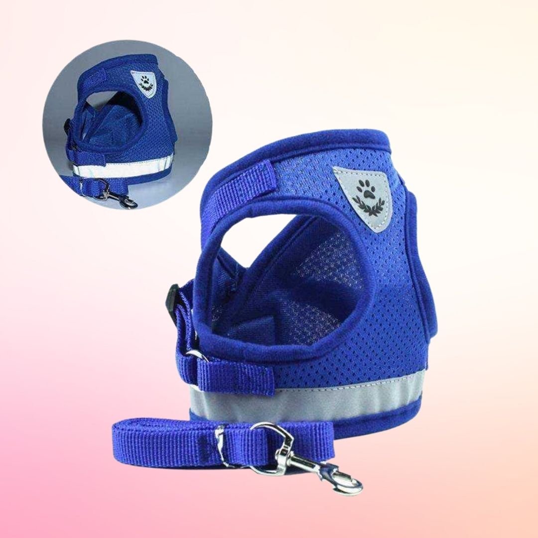 Pet Harness with Leash | 10.2 - 20.5 in | Reflective, Adjustable Fit | Durable Comfort | Pawberry Road