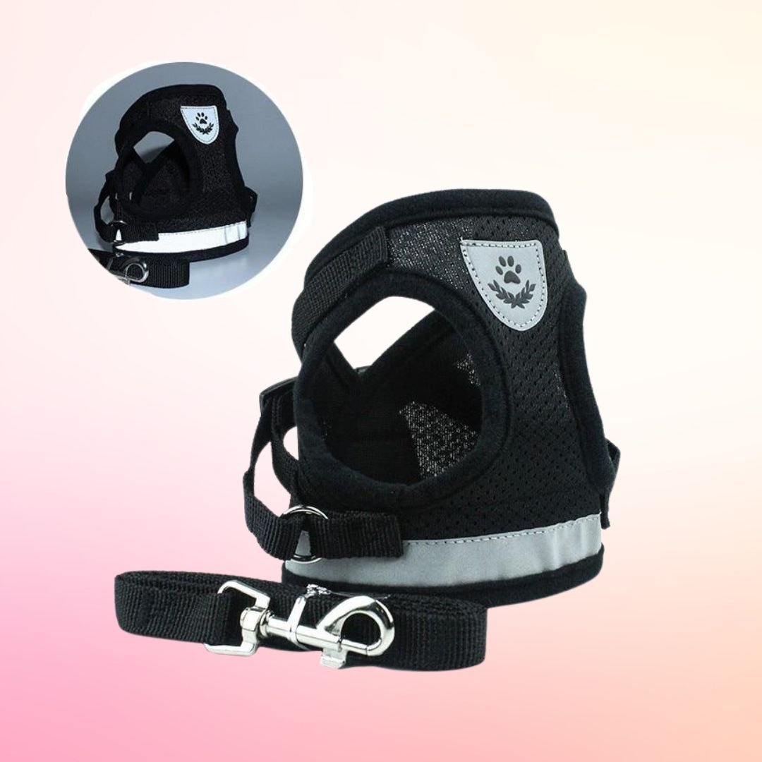 Pet Harness with Leash | 10.2 - 20.5 in | Reflective, Adjustable Fit | Durable Comfort | Pawberry Road