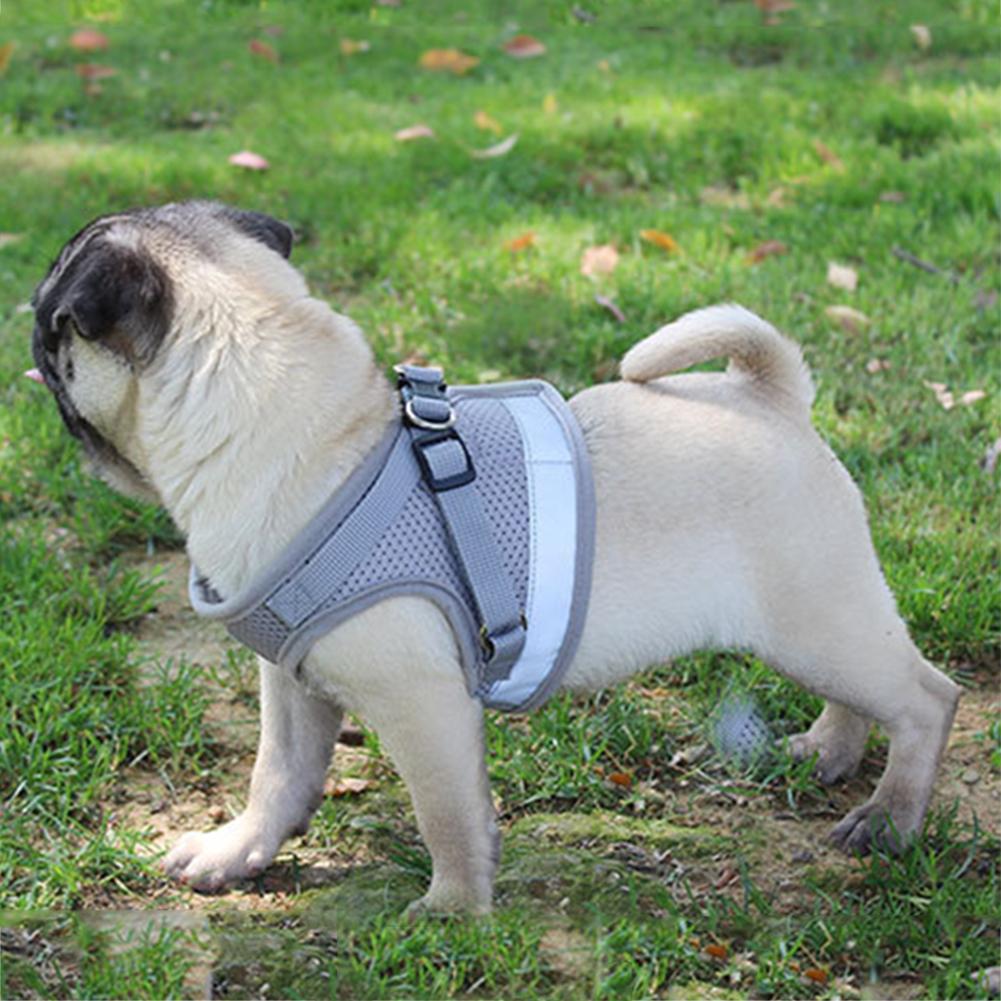 Pet Harness with Leash | 10.2 - 20.5 in | Reflective, Adjustable Fit | Durable Comfort | Pawberry Road
