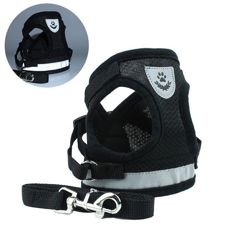 Pet Harness with Leash | 10.2 - 20.5 in | Reflective, Adjustable Fit | Durable Comfort | Pawberry Road