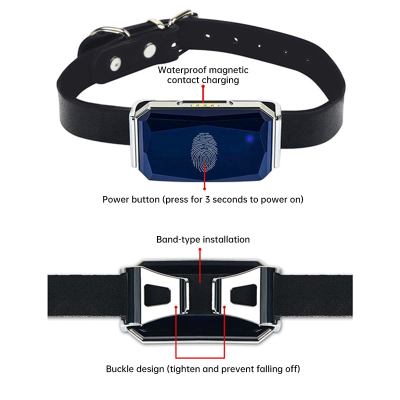 Outback GPS Pet Tracker Collar | Live Tracking | Rugged & Waterproof | Pawberry Road