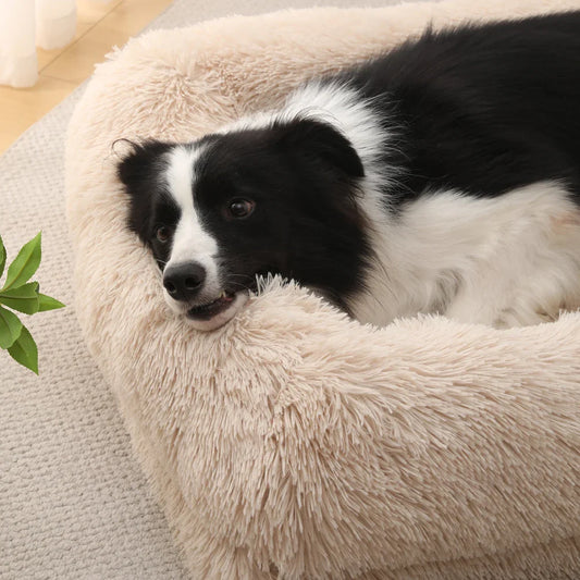 Dog Sofa Bed | Plush Furry Pet Bed | Memory Sponge & PP Cotton | Pawberry Road