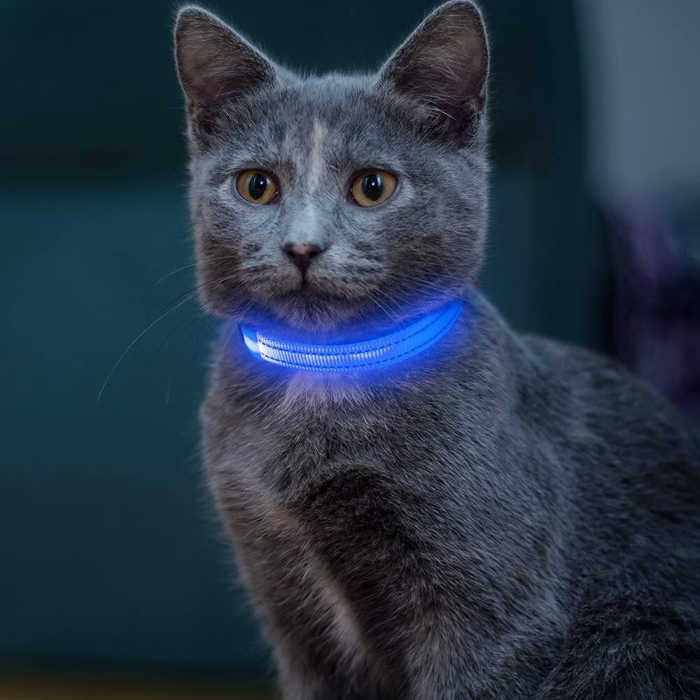 SafeGlow LED Cat Collar | XS - L Adjustable Length | 7-Color Light | USB Rechargeable | Pawberry Road