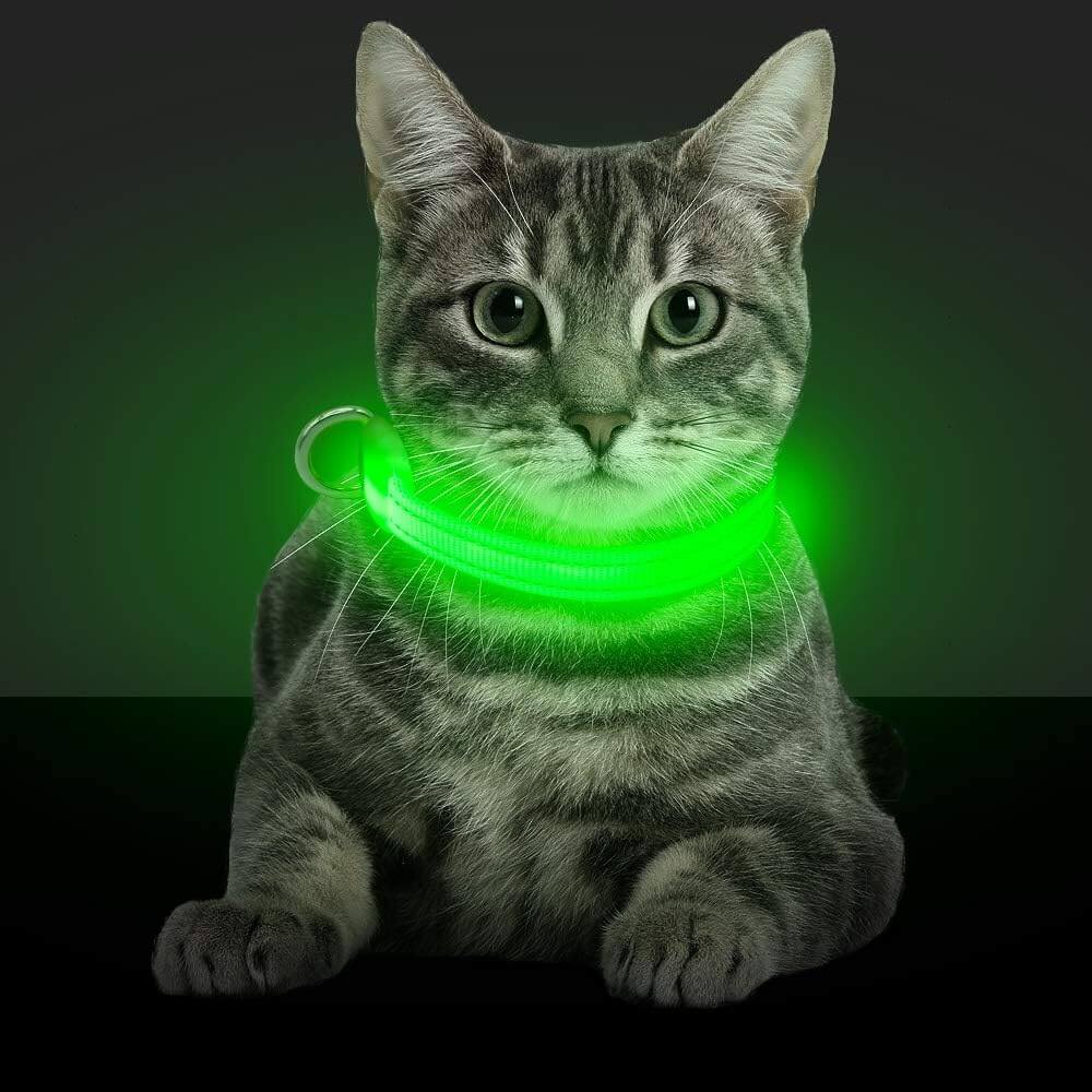 SafeGlow LED Cat Collar | XS - L Adjustable Length | 7-Color Light | USB Rechargeable | Pawberry Road