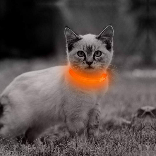 SafeGlow LED Cat Collar | XS - L Adjustable Length | 7-Color Light | USB Rechargeable | Pawberry Road