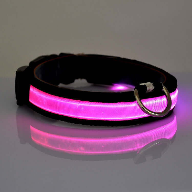 SafeGlow LED Cat Collar | XS - L Adjustable Length | 7-Color Light | USB Rechargeable | Pawberry Road