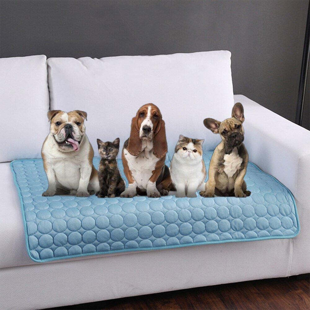 Pet Cooling Mat | S - 2XL | Pressure-Activated | Soft & Portable | Pawberry Road