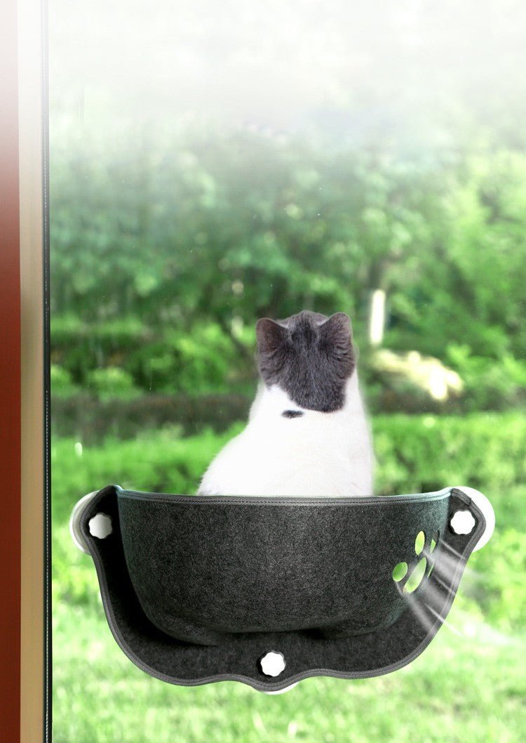 Window Cat Hammock | 19.7" × 9.8" | Foldable Suction Mount | Cozy & Durable | Pawberry Road