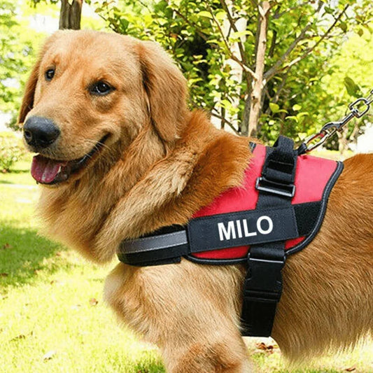 Dog Custom No Pull Harness | Reflective | XS to XXL | Adjustable Fit | Comfortable & Secure | Pawberry Road