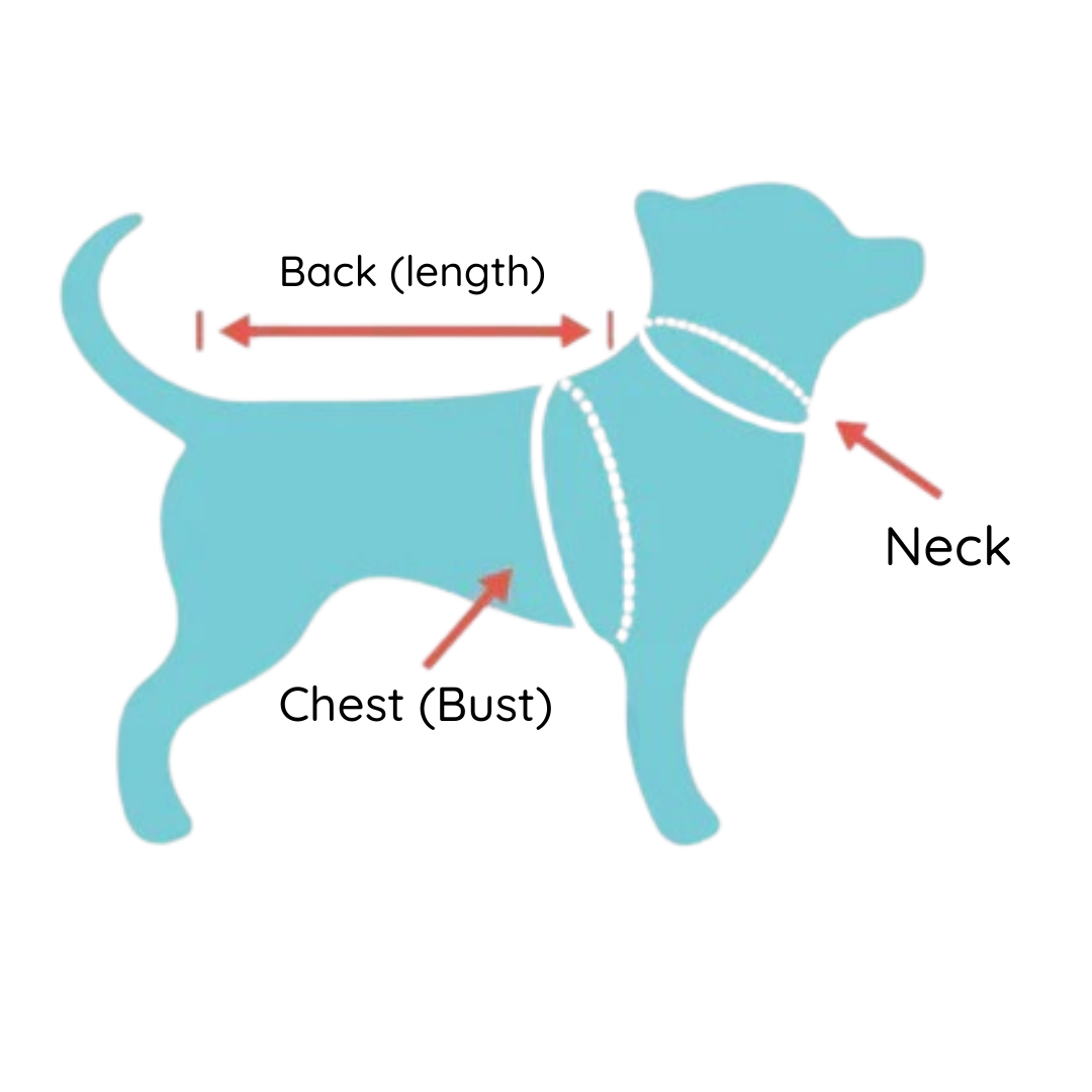 Waterproof Dog Coat | S - 5XL | Warm Fleece Lining | Harness Included | Pawberry Road