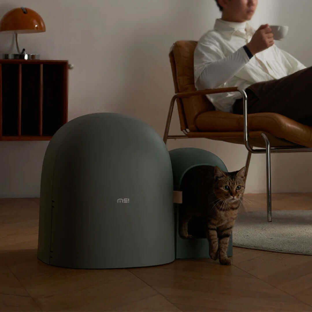 Cat Litter Box with Movable Tray | 26.8 x 19.3 x 19.3 in | Enclosed Modern Design | Moss Green | Odor Control | Pawberry Road