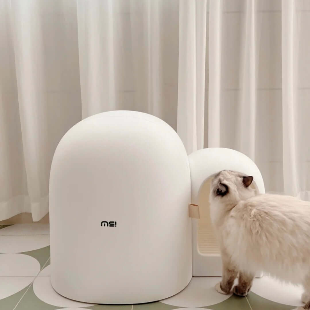 Cat Litter Box | 26.8 x 19.3 x 19.3 in | Enclosed Modern Tray | White | Spacious & Easy-Clean | Pawberry Road