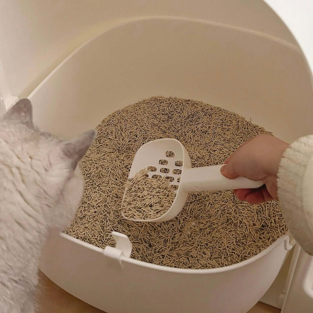 Cat Litter Box | 26.8 x 19.3 x 19.3 in | Enclosed Modern Tray | White | Spacious & Easy-Clean | Pawberry Road