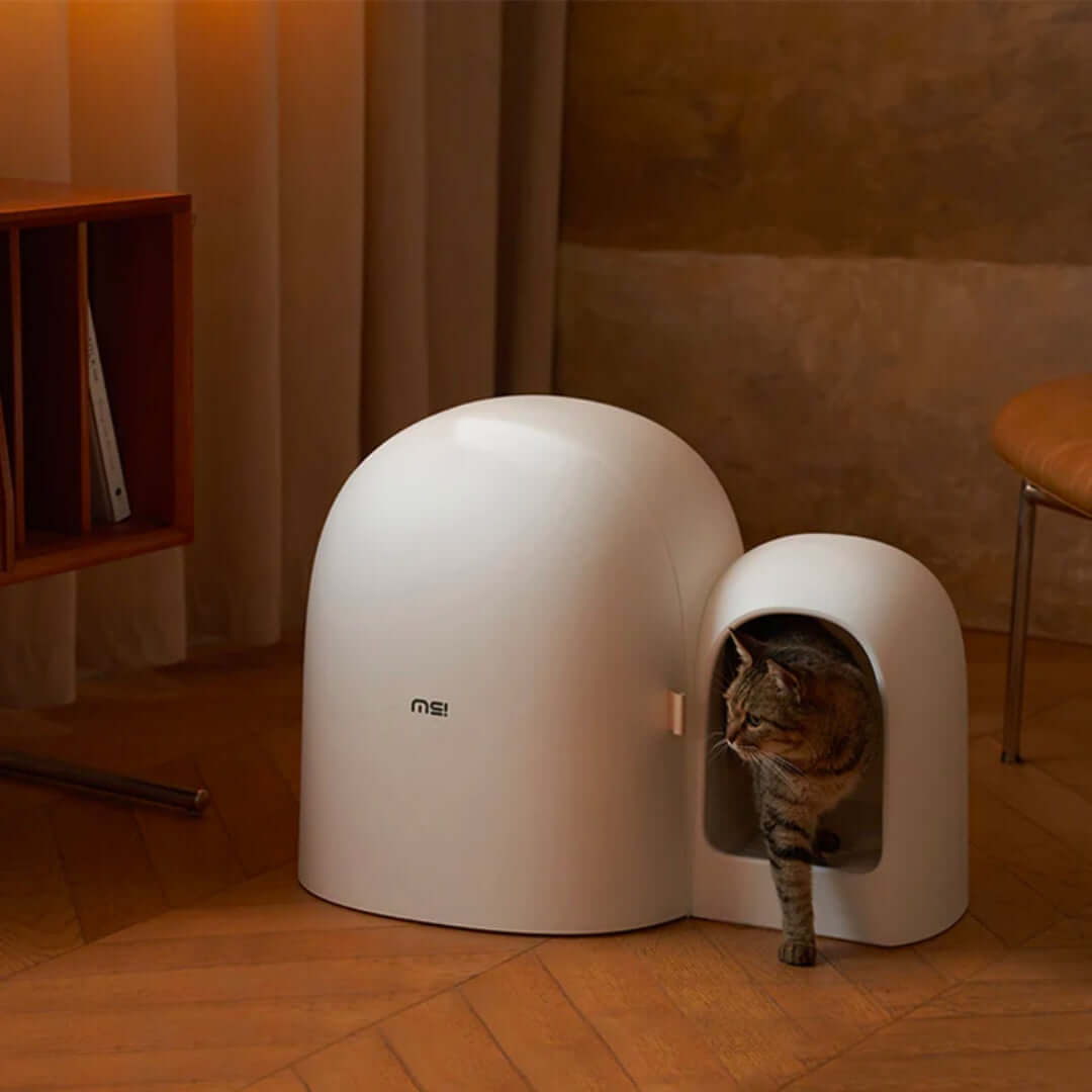 Cat Litter Box | 26.8 x 19.3 x 19.3 in | Enclosed Modern Tray | White | Spacious & Easy-Clean | Pawberry Road