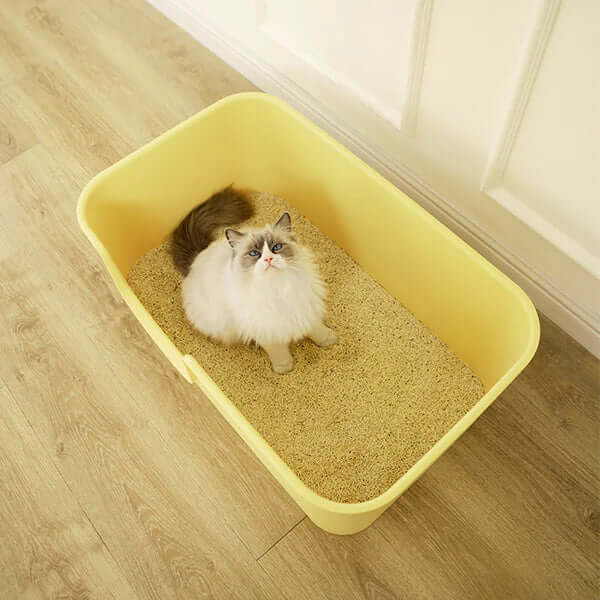Cat Mango Open Litter Tray | 31.3 x 19.1 x 13.2 in | Spacious Large Cat Litter Box | Pawberry Road