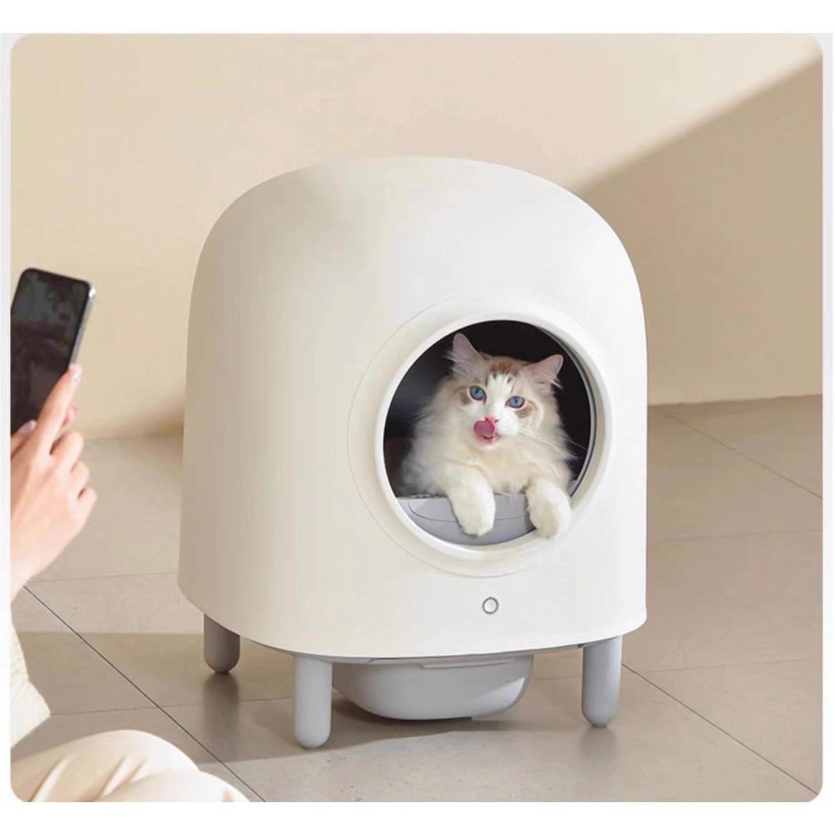 Automatic Cat Litter Box |  20.3 x 20.3 x 25.2 in | Enclosed App-Controlled Odor-Free | XL Comfort | Pawberry Road